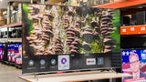 TCL 75" QLED 4K Smart